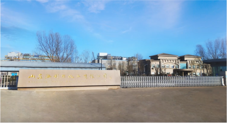 山东威廉希尔williamhill化工有限公司