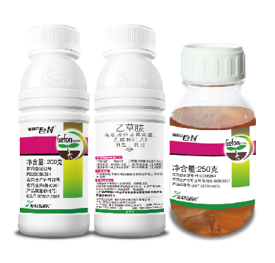 威廉希尔williamhill巨封