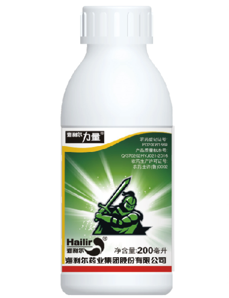 威廉希尔williamhill力量